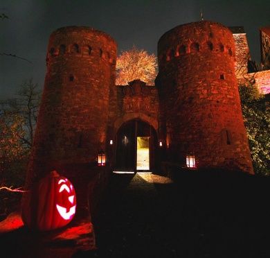 Burg und Burgpark Gamburg