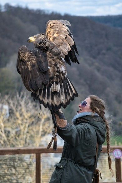 Vogelpark Steinen