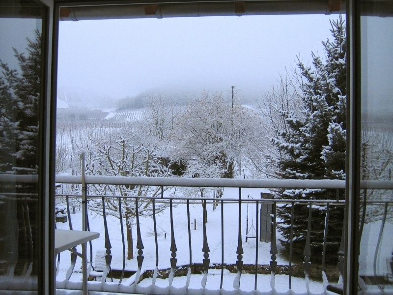 Winter-Aussicht aus dem Gästezimmer zur -Südseite 