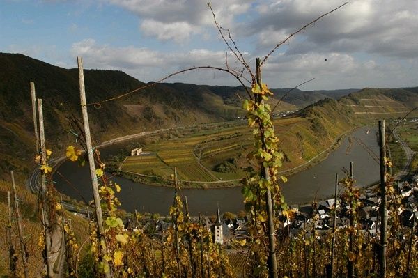 Mosel