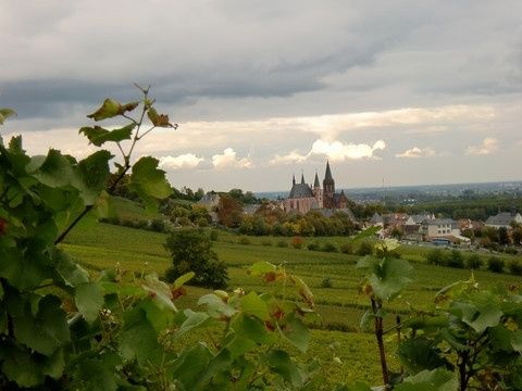 Dietz Wein & Sekt - Straußwirtschaft, Gutsschänke und Weingut - Rheinhessen