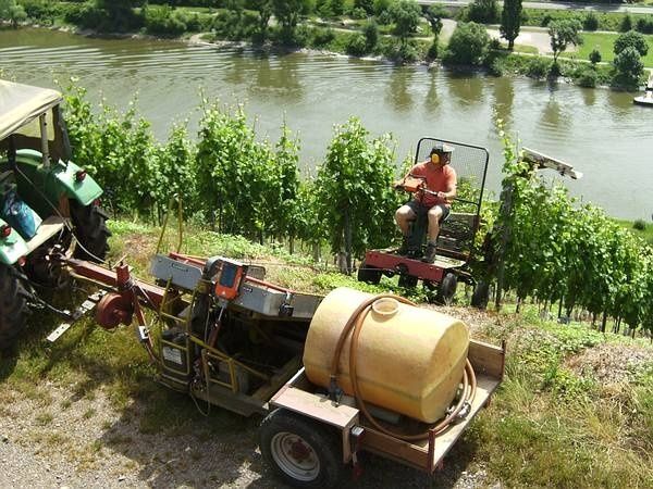 Arbeiten im Weinberg