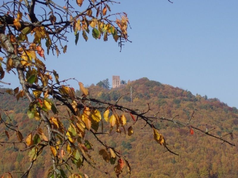 Gästehaus Steiner im Pfälzer Wald - Haus mit Herz