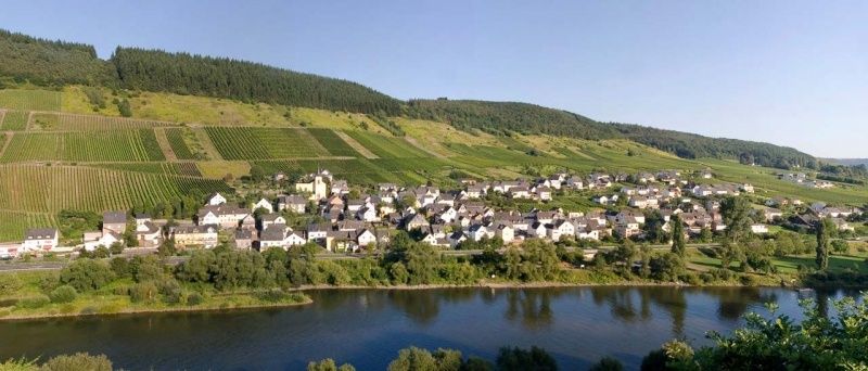 Hotel - Weinhaus Moselblick & Ferienweingut Kreuzgarten