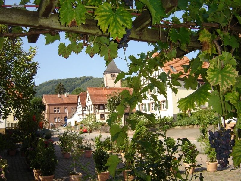 Blick vom Biergarten zur nahen Kirche