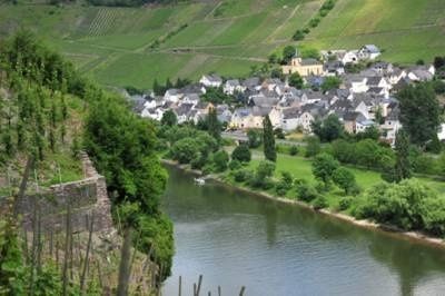 Ferienweingut Hirschen