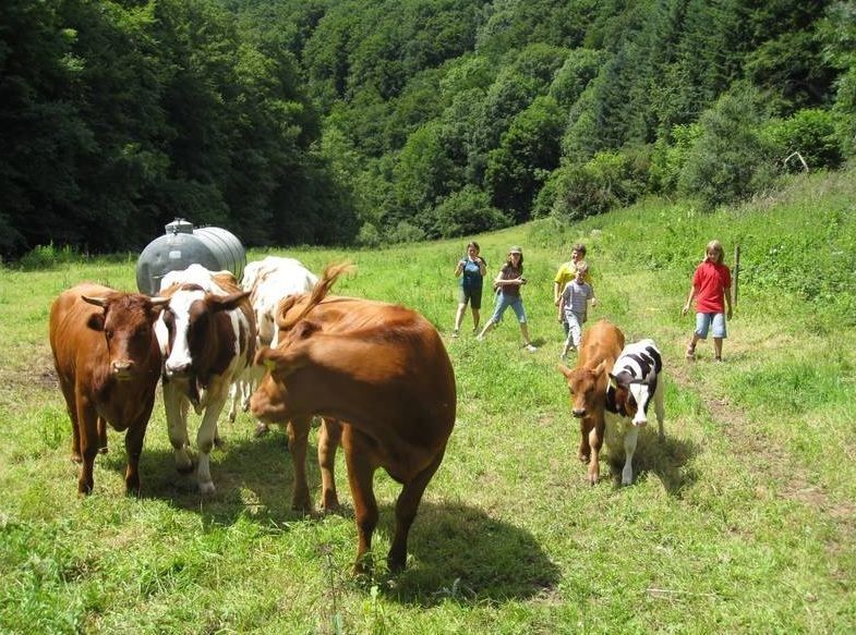 Ferienwohnungen Nengshof - Abenteuer Natur in der Eifel