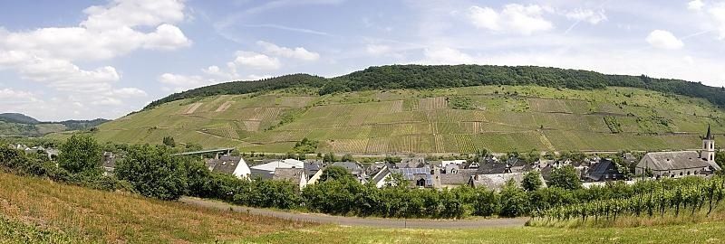 Ausblick vom Freisitz ins Moseltal