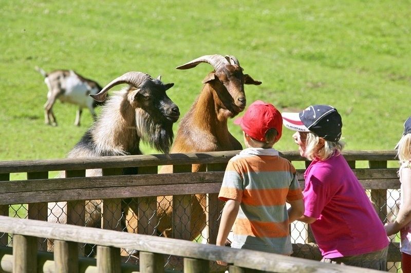 Bild:Wild- und Wanderpark bei Silz