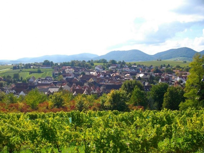 Weingut Silbernagel und Ferienwohnung in der Pfalz