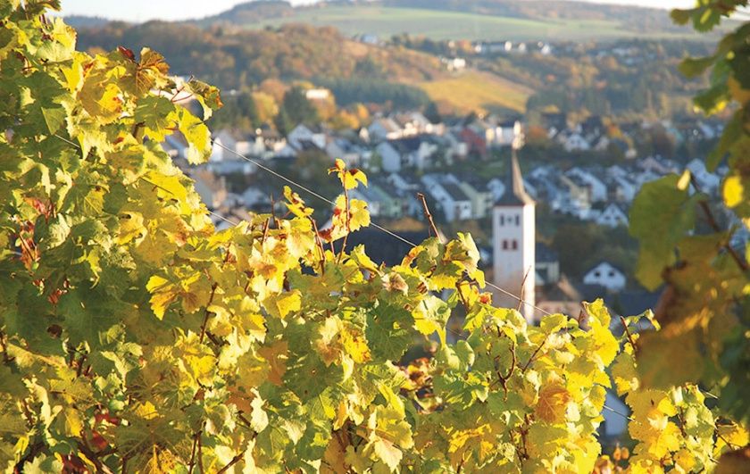 Blick auf den Weinort Waldrach