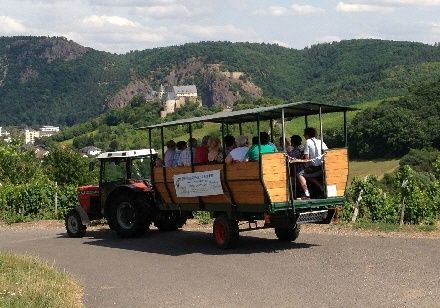 Weinbergsrundfahrten an der Mosel