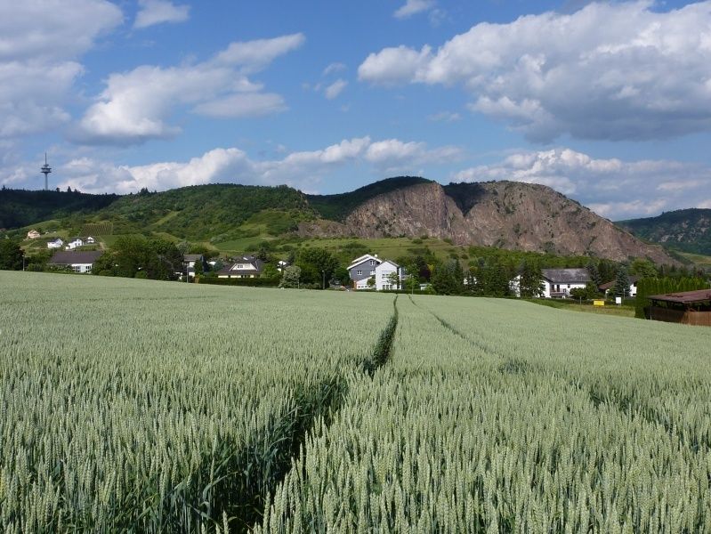 Blick zum Rotenfelsmassiv