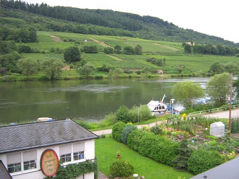 Aussicht auf die Mosel