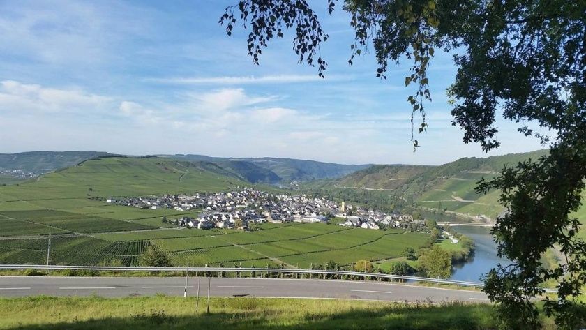 Gästehaus Bollig - Ihr Zuhause für die Ferienzeit an der Mosel