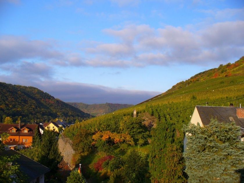 Ferienwohnungen im Weingut Sonneneck