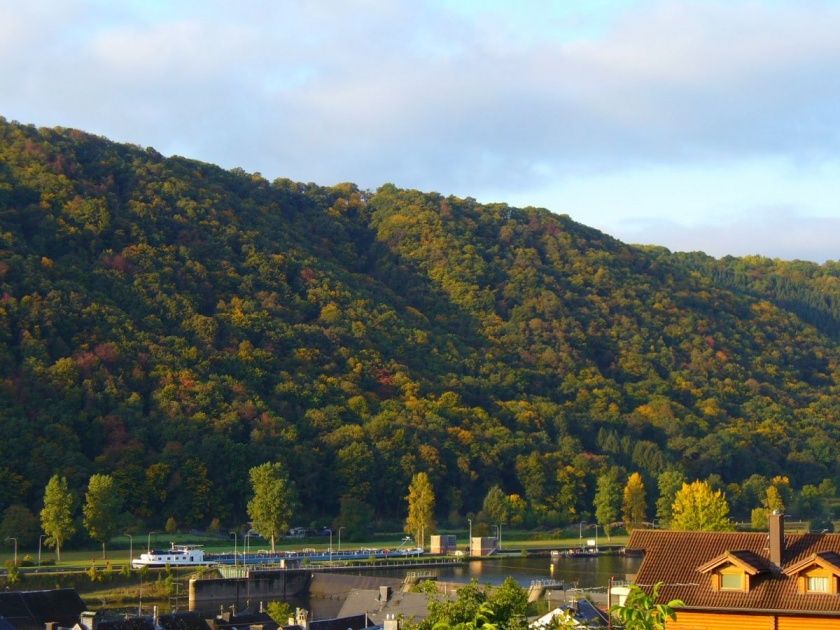 Ferienwohnungen im Weingut Sonneneck