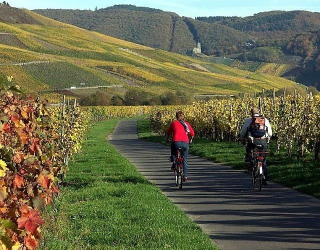 Ferienweingut Boujong & Pension Moselblick