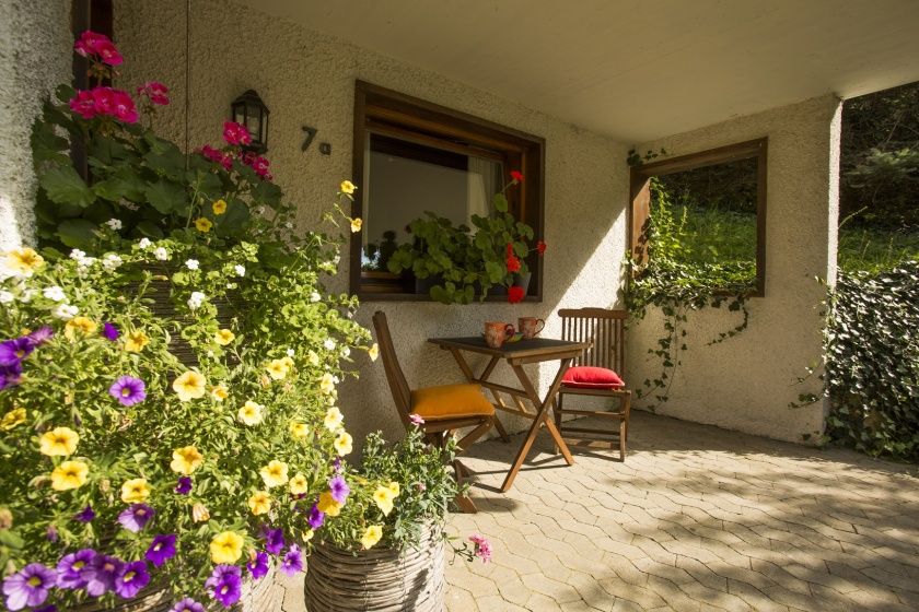 Feriendorf Reinskopf - Blockhäuser und Appartements im Herzen der Eifel