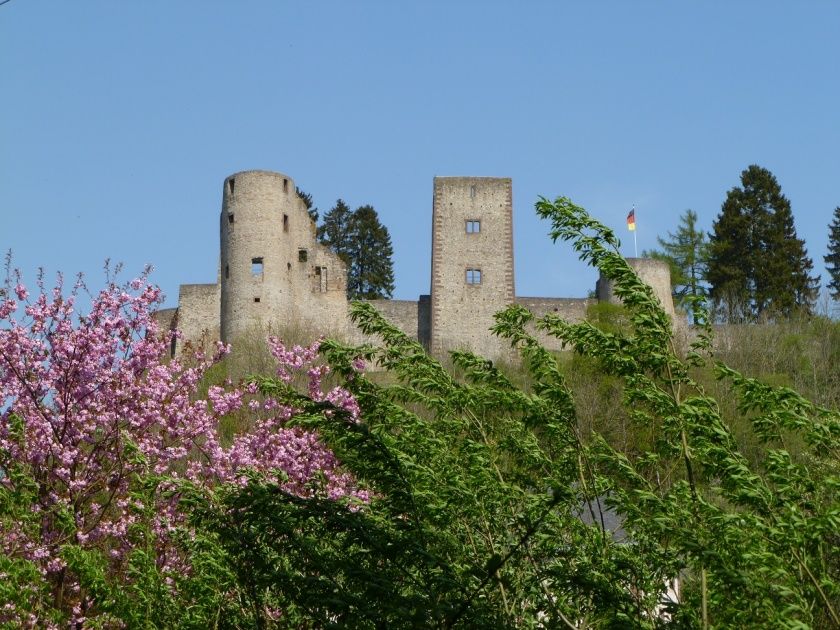 Feriendorf Reinskopf - Blockhäuser und Appartements im Herzen der Eifel