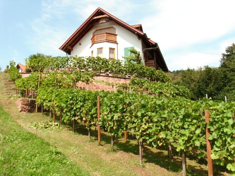 Gästehaus Edelweiss - Ihr Urlaub im Dahner Felsenland