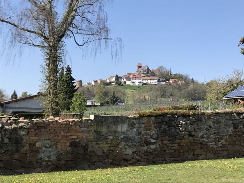 Blick, Burg Neuleiningen