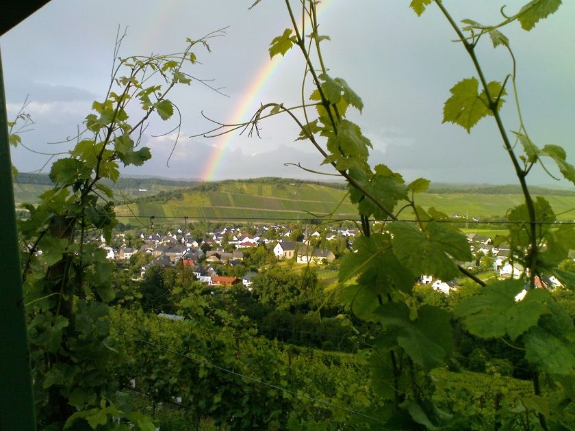 Regenbogen über Maring-Noviand