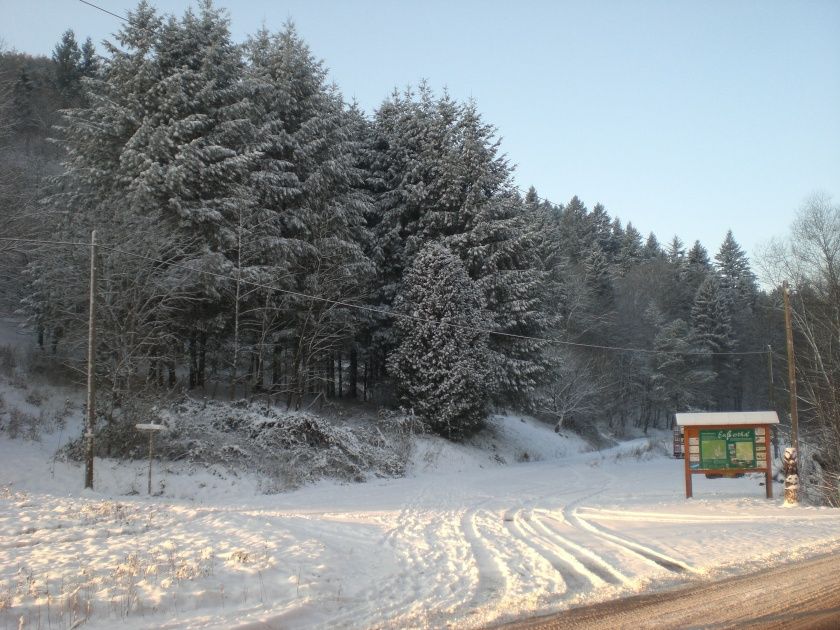 Der verschneite Pfälzerwald