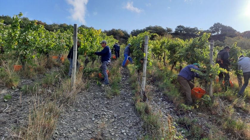 Ferienweingut FERRES