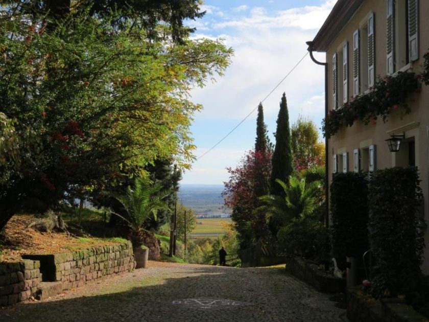 Gutsschänke St. Annaberg - Gästezimmer, Vinothek, Weingut Sankt Annagut - Urlaub auf dem höchstgelegenen Weingut der Pfalz