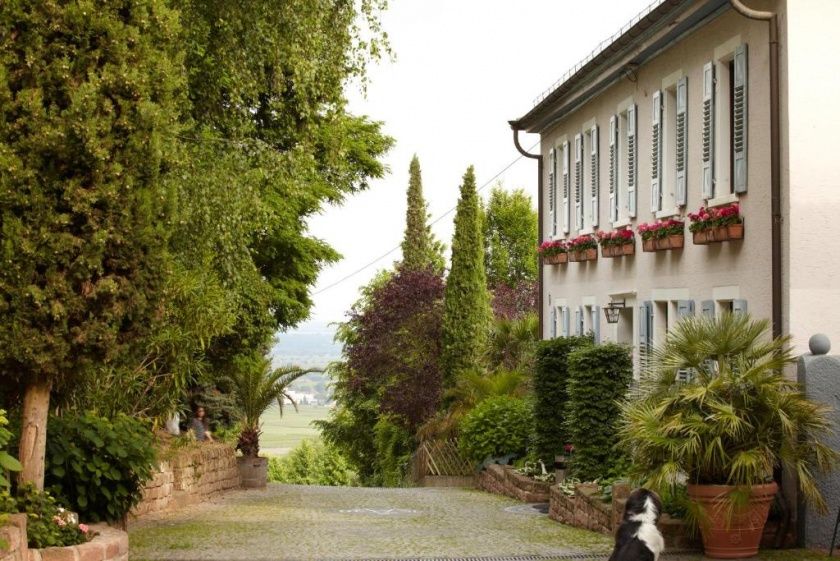 Gutsschänke St. Annaberg - Gästezimmer, Vinothek, Weingut Sankt Annagut - Urlaub auf dem höchstgelegenen Weingut der Pfalz