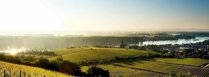 Friedrichshof - Weingut & Gästehaus in Rheinhessen