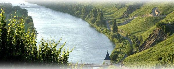 Mosel, Landschaft, Wein, Genuss ... 4 Gründe, bei uns Ferien zu machen