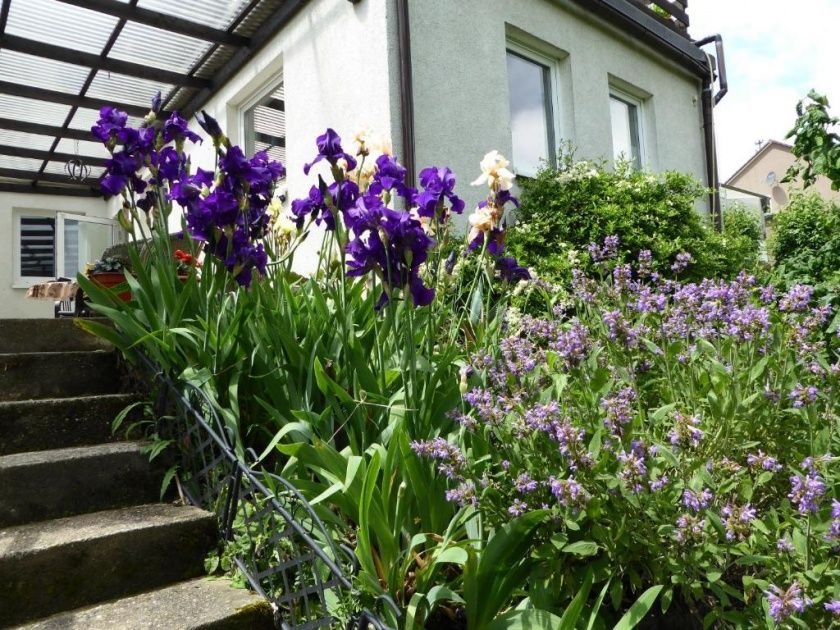 Ferienwohnung Batek am Rhein