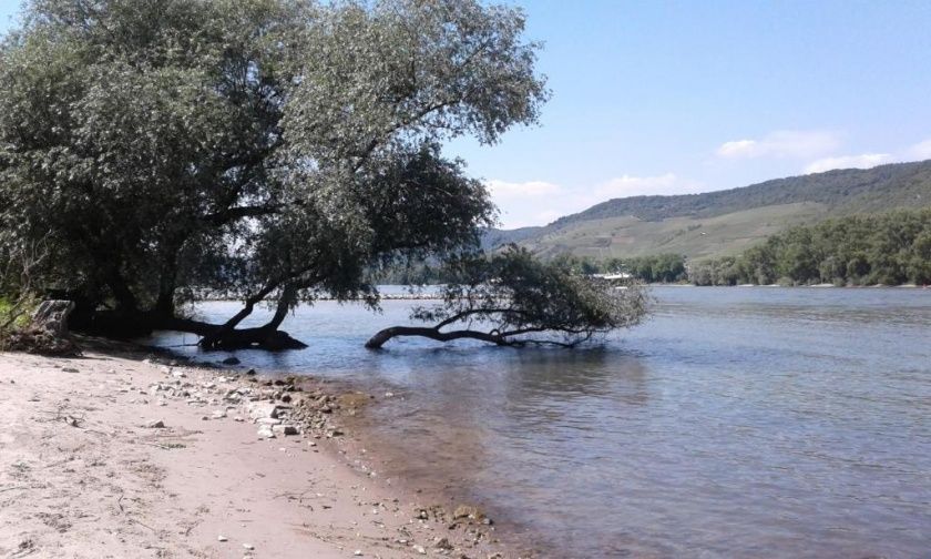 Ferienwohnung Batek am Rhein