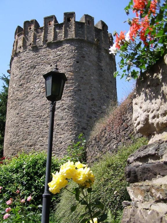 Ferienwohnung Batek am Rhein