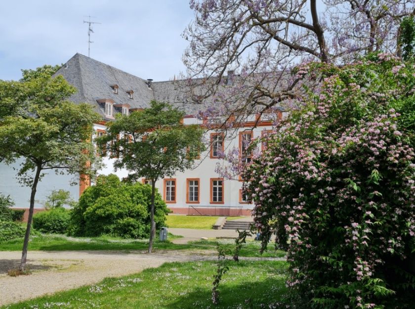 WineWalk Mainz  - Stadtführungen mit Genuss