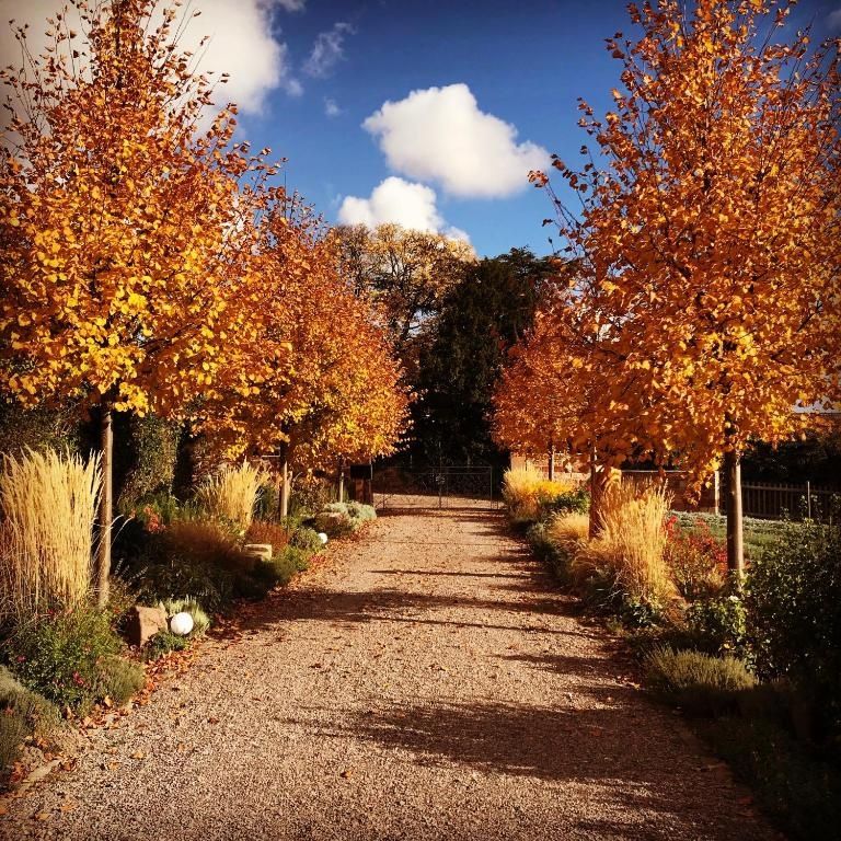 Kräutergarten Klostermühle