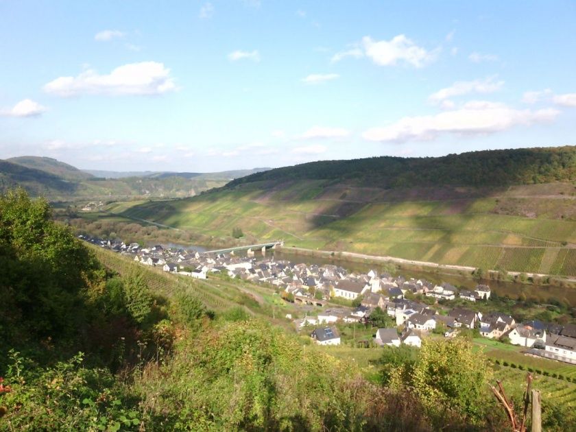 Ferienwohnung Zum Moselblick 5 Sterne DTV