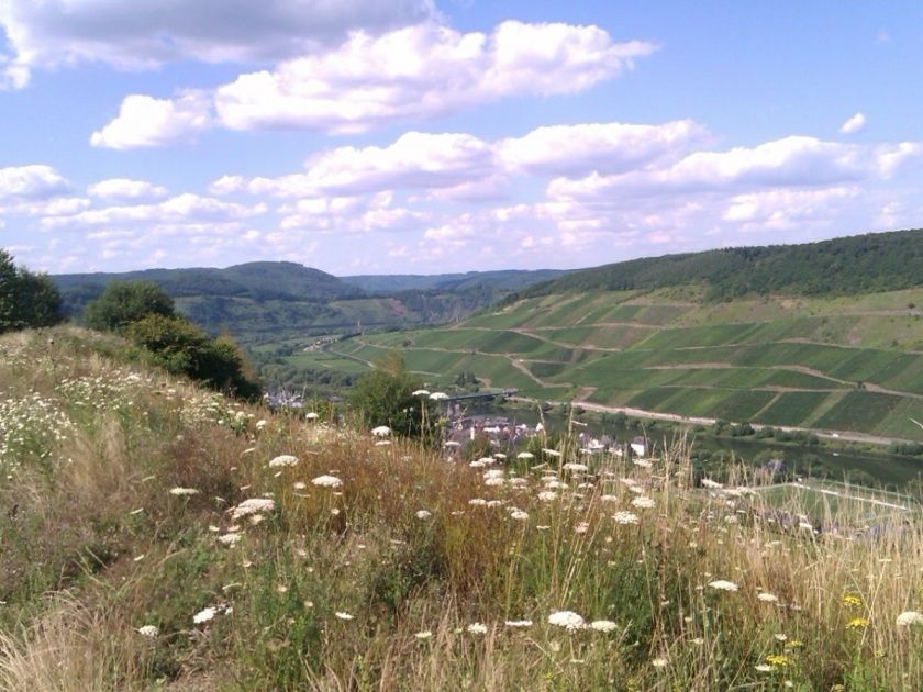 Ferienwohnung Zum Moselblick 5 Sterne DTV