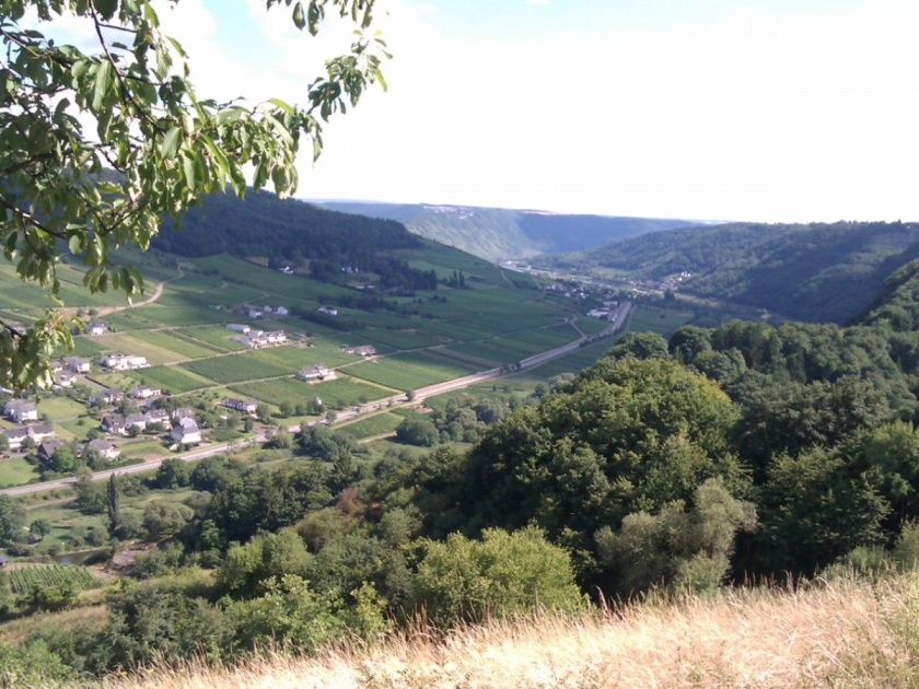 Ferienwohnung Zum Moselblick 5 Sterne DTV