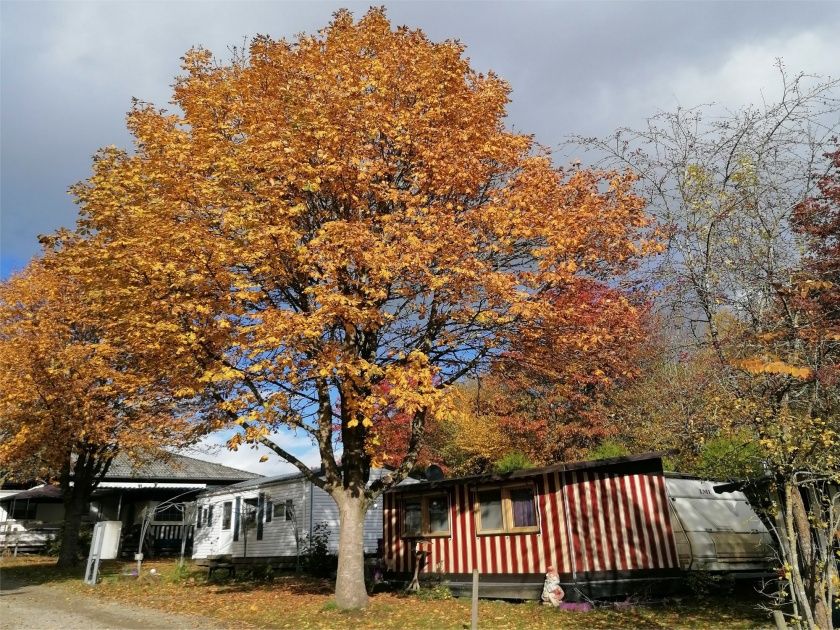 Campingplatz Bleialf