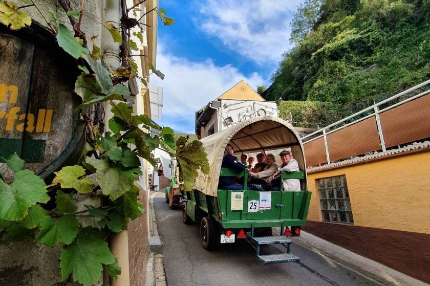 Planwagenfahrt durch die Weinberge