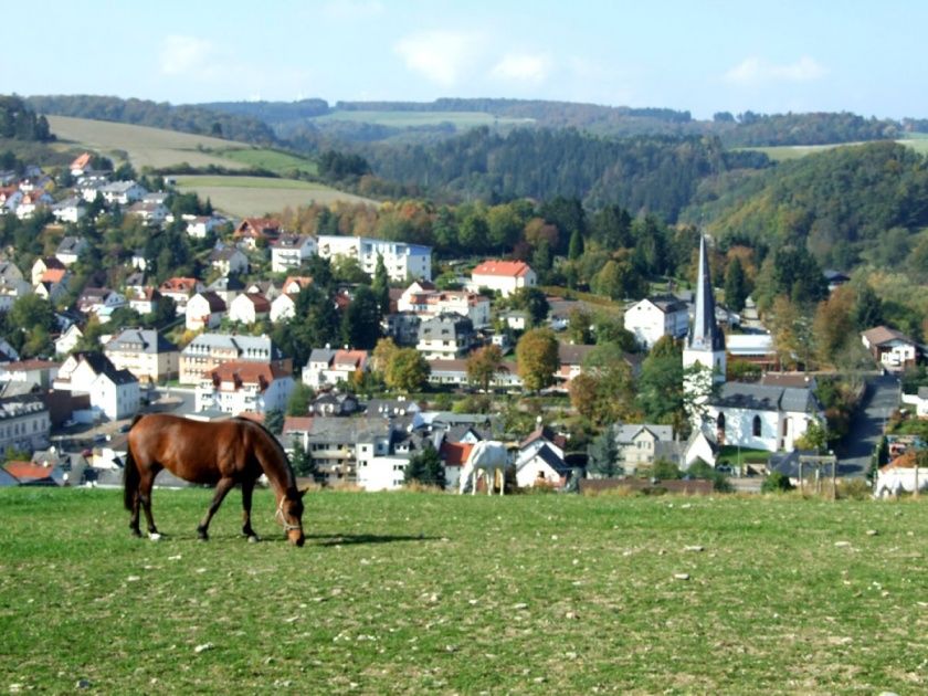 Ferienwohnung Strohwald