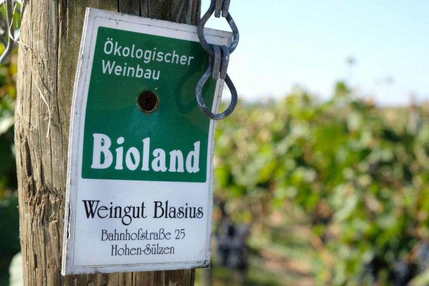 Ökologisches Weingut und Gästehaus Blasius