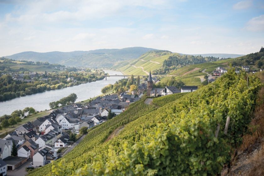 Bioweingut Hubertushof - Gästezimmer & Ferienwohnung