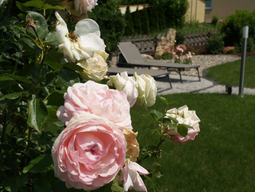 Weingut & Gästezimmer Oskar Bastian