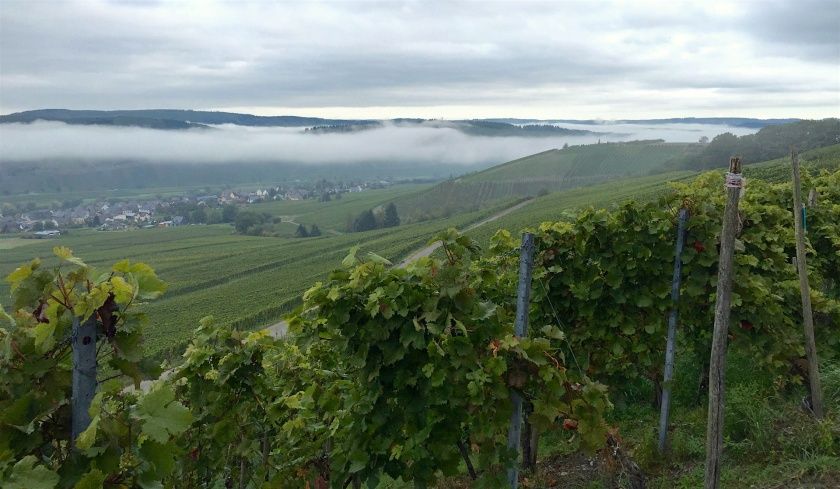 Weingut & Gästezimmer Oskar Bastian