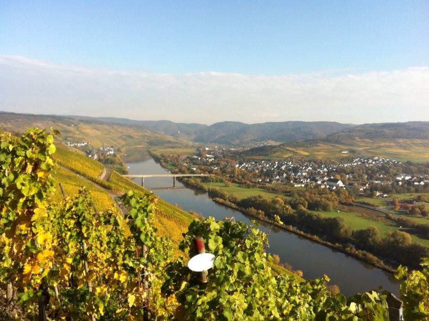 Weingut & Gästezimmer Oskar Bastian