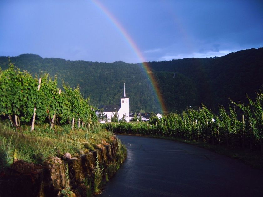 Ferienwohnungen Eulenhof